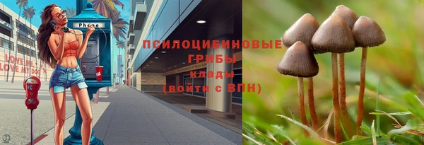 ГАЛЛЮЦИНОГЕННЫЕ ГРИБЫ Абаза