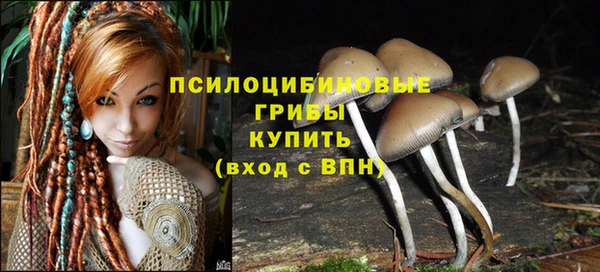 дурь Абдулино