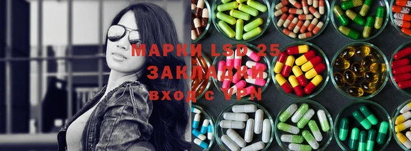 ГАЛЛЮЦИНОГЕННЫЕ ГРИБЫ Абаза