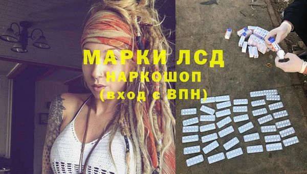 ГАЛЛЮЦИНОГЕННЫЕ ГРИБЫ Абаза